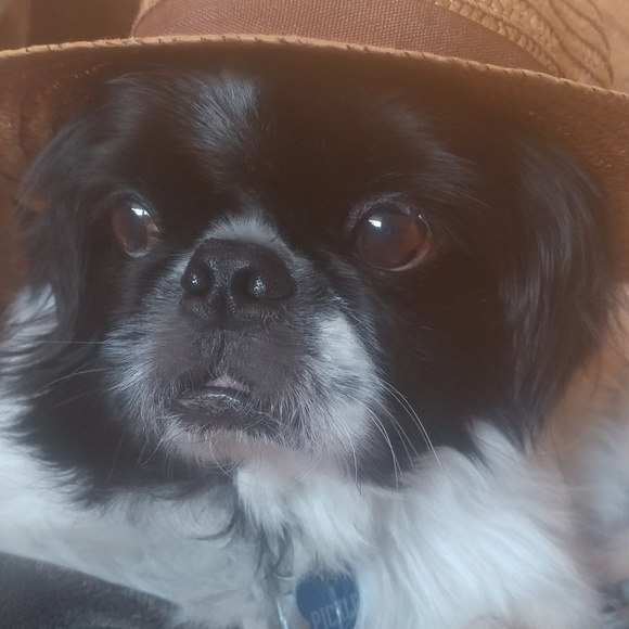 Meet your Posher, Ed - Picture 4 of 4